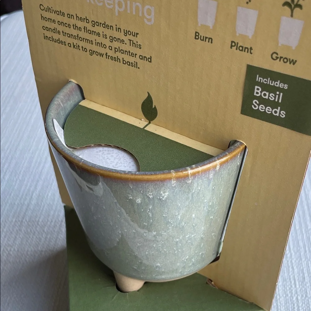 Modern sprout glow & grow Candle + grow kit herb garden